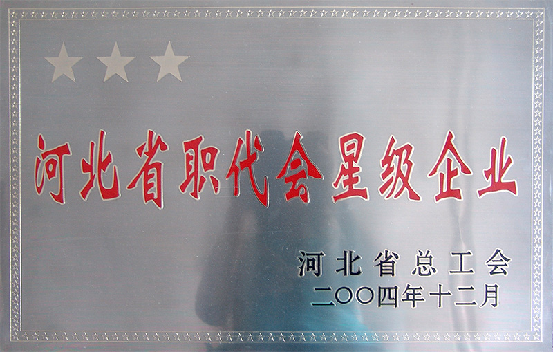 河北省職代會(huì)星級(jí)企業(yè)